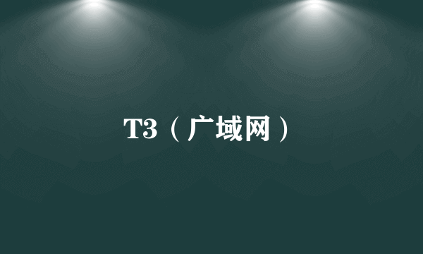 T3（广域网）