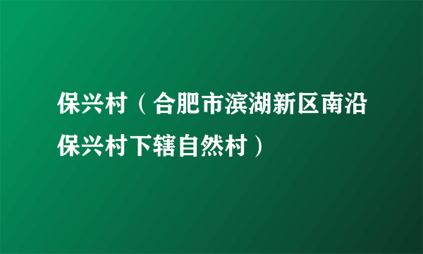 保兴村（合肥市滨湖新区南沿保兴村下辖自然村）