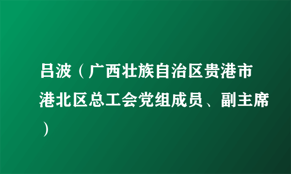 吕波（广西壮族自治区贵港市港北区总工会党组成员、副主席）