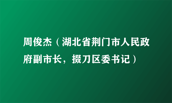 周俊杰（湖北省荆门市人民政府副市长，掇刀区委书记）