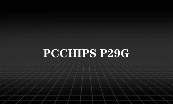 PCCHIPS P29G