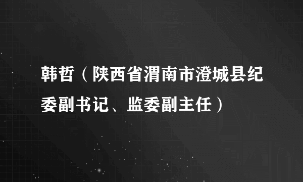 韩哲（陕西省渭南市澄城县纪委副书记、监委副主任）