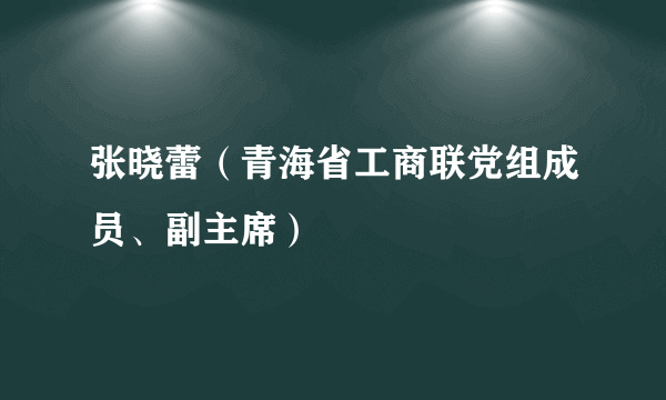 张晓蕾（青海省工商联党组成员、副主席）