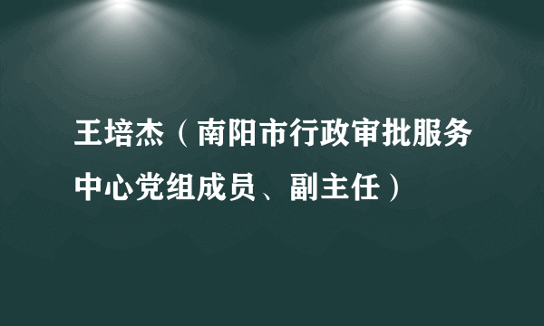 王培杰（南阳市行政审批服务中心党组成员、副主任）