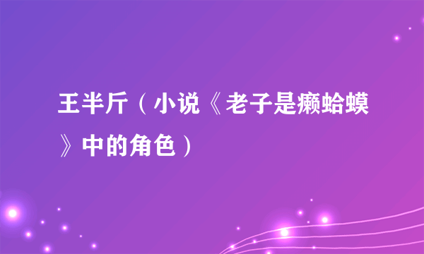 王半斤（小说《老子是癞蛤蟆》中的角色）