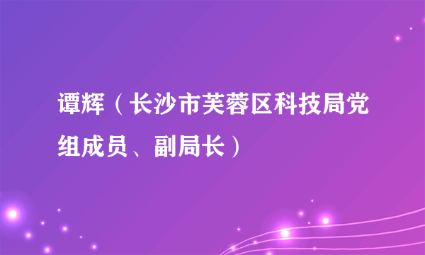 谭辉（长沙市芙蓉区科技局党组成员、副局长）