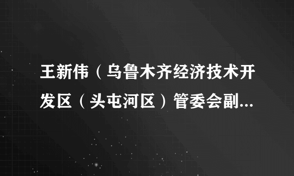 王新伟（乌鲁木齐经济技术开发区（头屯河区）管委会副主任、副区长（副县级）、二级调研员）