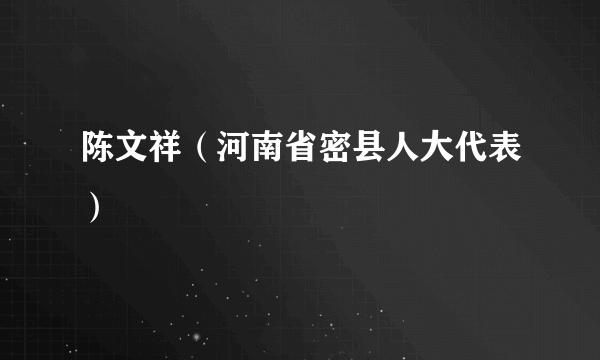 陈文祥（河南省密县人大代表）