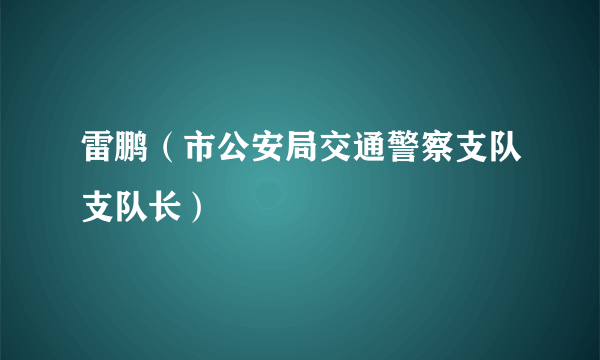 雷鹏（市公安局交通警察支队支队长）