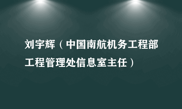 刘宇辉（中国南航机务工程部工程管理处信息室主任）