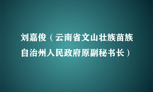 刘嘉俊（云南省文山壮族苗族自治州人民政府原副秘书长）