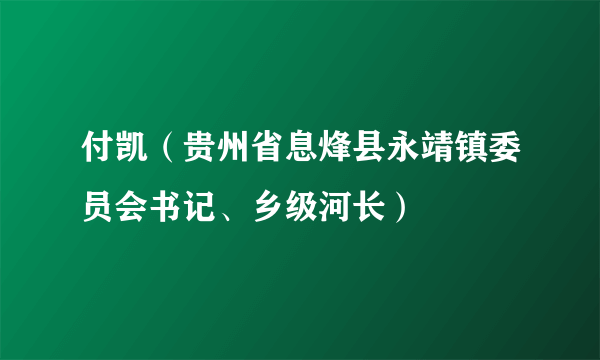 付凯（贵州省息烽县永靖镇委员会书记、乡级河长）