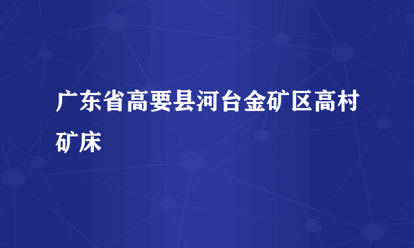 广东省高要县河台金矿区高村矿床