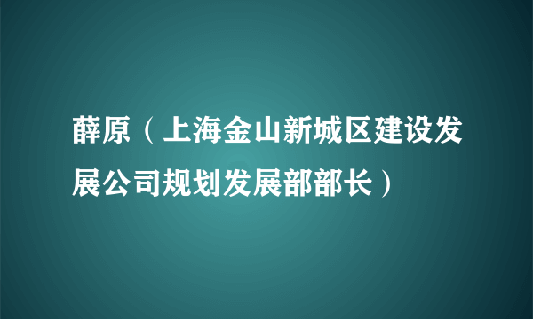 薛原（上海金山新城区建设发展公司规划发展部部长）