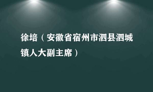 徐培（安徽省宿州市泗县泗城镇人大副主席）