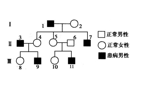 X伴性显性遗传病