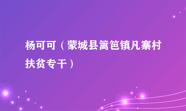 杨可可（蒙城县篱笆镇凡寨村扶贫专干）