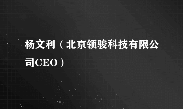 杨文利（北京领骏科技有限公司CEO）