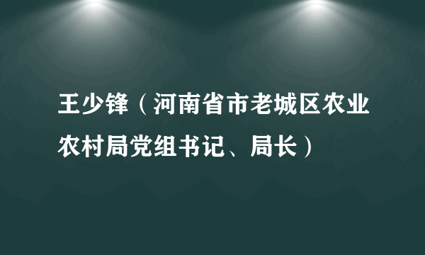 王少锋（河南省市老城区农业农村局党组书记、局长）