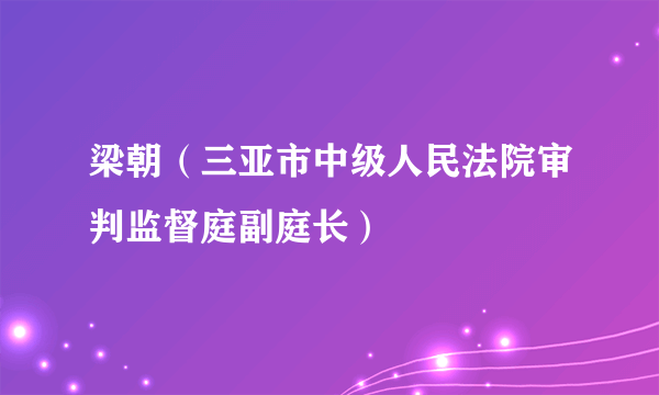 梁朝（三亚市中级人民法院审判监督庭副庭长）