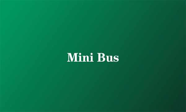 Mini Bus