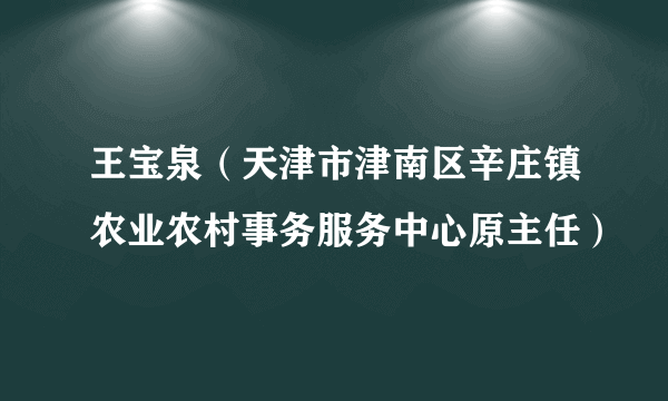 王宝泉（天津市津南区辛庄镇农业农村事务服务中心原主任）