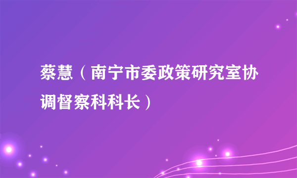 蔡慧（南宁市委政策研究室协调督察科科长）