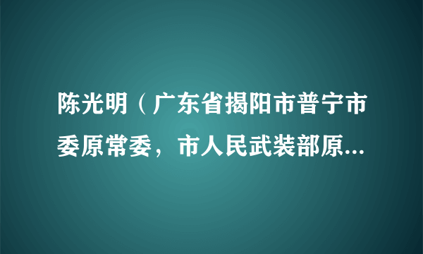 陈光明（广东省揭阳市普宁市委原常委，市人民武装部原政治委员）