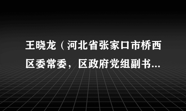 王晓龙（河北省张家口市桥西区委常委，区政府党组副书记、常务副区长）