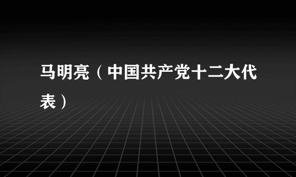 马明亮（中国共产党十二大代表）