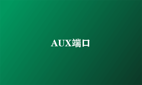 AUX端口