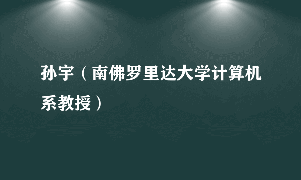 孙宇（南佛罗里达大学计算机系教授）