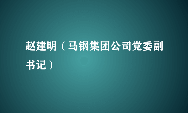 赵建明（马钢集团公司党委副书记）