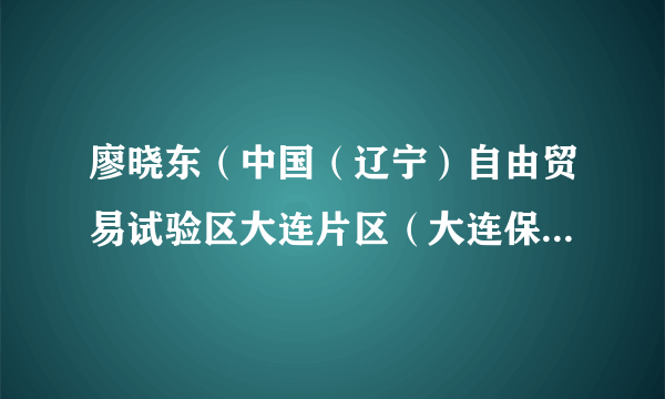 廖晓东（中国（辽宁）自由贸易试验区大连片区（大连保税区）管委会副主任）