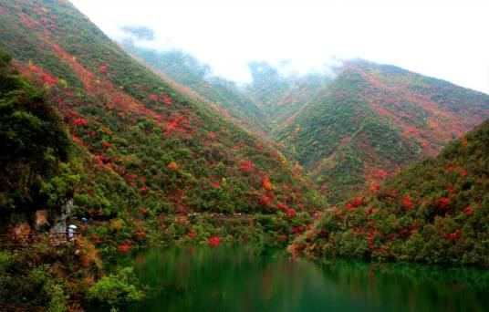 五龙河风景区