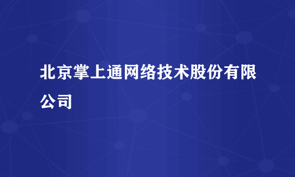 北京掌上通网络技术股份有限公司