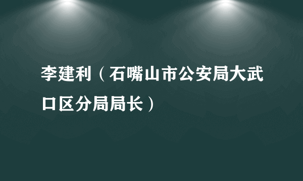 李建利（石嘴山市公安局大武口区分局局长）