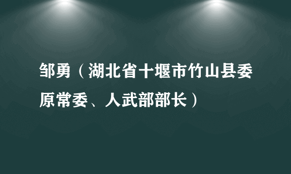 邹勇（湖北省十堰市竹山县委原常委、人武部部长）