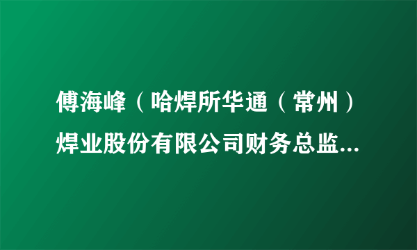 傅海峰（哈焊所华通（常州）焊业股份有限公司财务总监、首席合规官、总法律顾问）