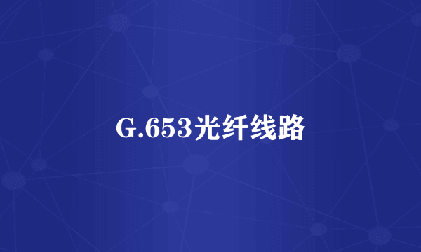 G.653光纤线路