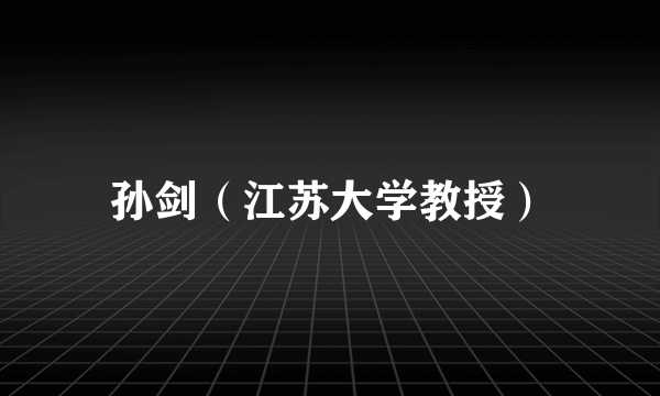 孙剑（江苏大学教授）