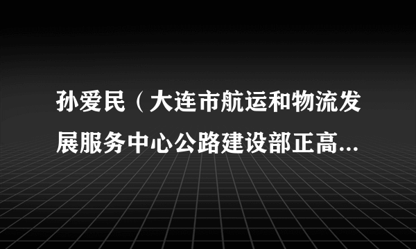 孙爱民（大连市航运和物流发展服务中心公路建设部正高级工程师）