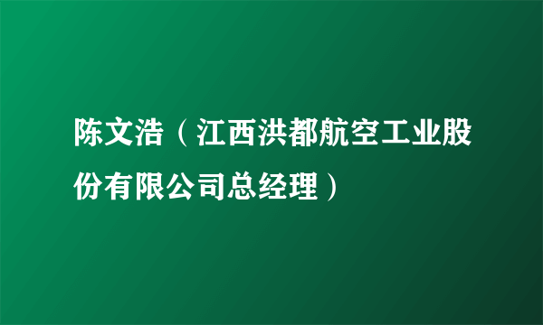 陈文浩（江西洪都航空工业股份有限公司总经理）