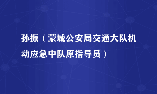 孙振（蒙城公安局交通大队机动应急中队原指导员）