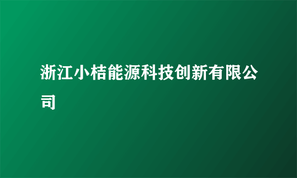 浙江小桔能源科技创新有限公司