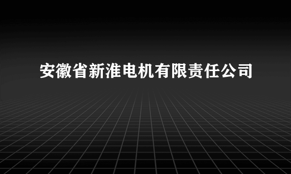 安徽省新淮电机有限责任公司