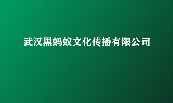 武汉黑蚂蚁文化传播有限公司