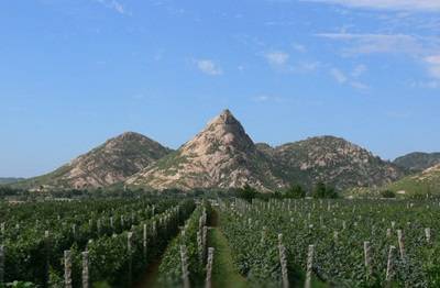 凤凰山（河北省昌黎县凤凰山）