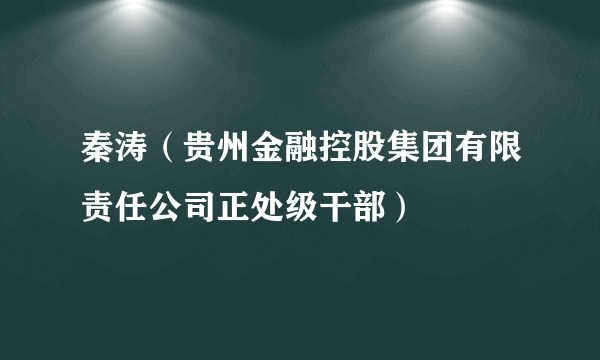 秦涛（贵州金融控股集团有限责任公司正处级干部）