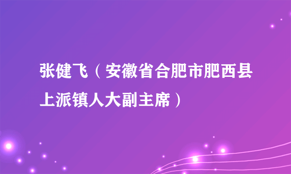 张健飞（安徽省合肥市肥西县上派镇人大副主席）